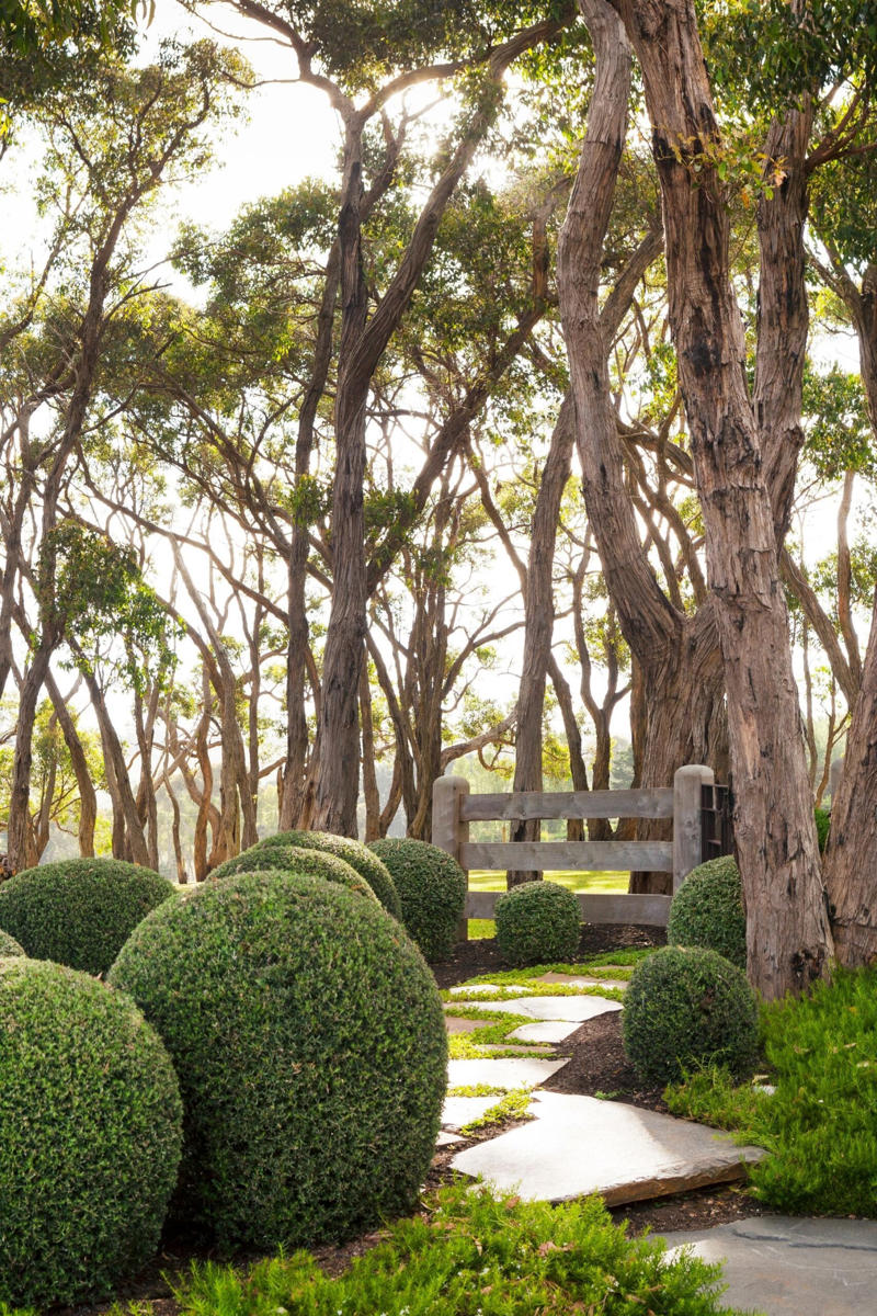      Collette Dinnigan’s enchanting gardens   ,      The manicured gardens of Lancemore Lindenderry   ,      A family-friendly garden that fits its home perfectly   ,      A Sydney family gives their heritage home the garden it deserves   ,      A flowering perennial garden in NSW   ,      Mayfield Garden in Oberon is an expansive, formal masterpiece   ,      A tropical garden in the heart of Melbourne   ,      A layered green-on-green palette has transformed this garden into a shaded sanctuary   ,      Romantic country garden transports visitors to another world   ,      A traditional front garden with a contemporary twist   ,      A country-style garden in suburban Melbourne   ,      A garden of contrasts that works harmoniously   ,      A naturalistic inner-city garden inspired by the Australian bush   ,      Ripe for the picking: a productive urban garden   ,      A small tropical garden with low-maintenance plants   ,      A family-friendly heritage home with a Mediterranean influence   ,      A semi-formal garden restoration reflecting a historic home   ,      Sophisticated family backyard revamp in Melbourne   ,      A former Macadamia farm provides a lush escape   ,      An inner-city terrace garden   ,      A private European-style courtyard garden   ,      A show-stopping sustainable garden   ,      A coastal home’s luscious front garden design   ,      A lush and layered Launceston garden   ,      A 19th century garden pays homage to its heritage   ,      A bushland retreat 30 minutes out of Melbourne’s CBD   ,      A formal cottage garden filled with earthly delights   ,      A rambling rural retreat in central Victoria   ,      A manicured garden on Victoria’s Mornington Peninsula   ,      An exceptional 19th century garden at Bronte House   ,      An English-meets-Australian garden in northern NSW   ,      South Australian garden bristles with life   ,      A grand garden reinvented for the 21st century   