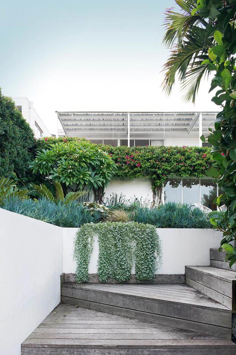     Collette Dinnigan’s enchanting gardens   ,      The manicured gardens of Lancemore Lindenderry   ,      A family-friendly garden that fits its home perfectly   ,      A Sydney family gives their heritage home the garden it deserves   ,      A flowering perennial garden in NSW   ,      Mayfield Garden in Oberon is an expansive, formal masterpiece   ,      A tropical garden in the heart of Melbourne   ,      A layered green-on-green palette has transformed this garden into a shaded sanctuary   ,      Romantic country garden transports visitors to another world   ,      A traditional front garden with a contemporary twist   ,      A country-style garden in suburban Melbourne   ,      A garden of contrasts that works harmoniously   ,      A naturalistic inner-city garden inspired by the Australian bush   ,      Ripe for the picking: a productive urban garden   ,      A small tropical garden with low-maintenance plants   ,      A family-friendly heritage home with a Mediterranean influence   ,      A semi-formal garden restoration reflecting a historic home   ,      Sophisticated family backyard revamp in Melbourne   ,      A former Macadamia farm provides a lush escape   ,      An inner-city terrace garden   ,      A private European-style courtyard garden   ,      A show-stopping sustainable garden   ,      A coastal home’s luscious front garden design   ,      A lush and layered Launceston garden   ,      A 19th century garden pays homage to its heritage   ,      A bushland retreat 30 minutes out of Melbourne’s CBD   ,      A formal cottage garden filled with earthly delights   ,      A rambling rural retreat in central Victoria   ,      A manicured garden on Victoria’s Mornington Peninsula   ,      An exceptional 19th century garden at Bronte House   ,      An English-meets-Australian garden in northern NSW   ,      South Australian garden bristles with life   ,      A grand garden reinvented for the 21st century   