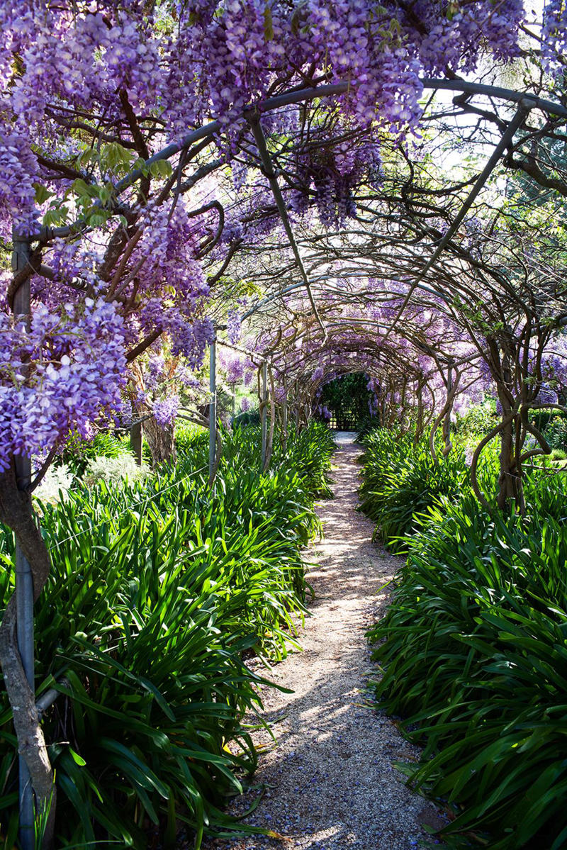      Collette Dinnigan’s enchanting gardens   ,      The manicured gardens of Lancemore Lindenderry   ,      A family-friendly garden that fits its home perfectly   ,      A Sydney family gives their heritage home the garden it deserves   ,      A flowering perennial garden in NSW   ,      Mayfield Garden in Oberon is an expansive, formal masterpiece   ,      A tropical garden in the heart of Melbourne   ,      A layered green-on-green palette has transformed this garden into a shaded sanctuary   ,      Romantic country garden transports visitors to another world   ,      A traditional front garden with a contemporary twist   ,      A country-style garden in suburban Melbourne   ,      A garden of contrasts that works harmoniously   ,      A naturalistic inner-city garden inspired by the Australian bush   ,      Ripe for the picking: a productive urban garden   ,      A small tropical garden with low-maintenance plants   ,      A family-friendly heritage home with a Mediterranean influence   ,      A semi-formal garden restoration reflecting a historic home   ,      Sophisticated family backyard revamp in Melbourne   ,      A former Macadamia farm provides a lush escape   ,      An inner-city terrace garden   ,      A private European-style courtyard garden   ,      A show-stopping sustainable garden   ,      A coastal home’s luscious front garden design   ,      A lush and layered Launceston garden   ,      A 19th century garden pays homage to its heritage   ,      A bushland retreat 30 minutes out of Melbourne’s CBD   ,      A formal cottage garden filled with earthly delights   ,      A rambling rural retreat in central Victoria   ,      A manicured garden on Victoria’s Mornington Peninsula   ,      An exceptional 19th century garden at Bronte House   ,      An English-meets-Australian garden in northern NSW   ,      South Australian garden bristles with life   ,      A grand garden reinvented for the 21st century   