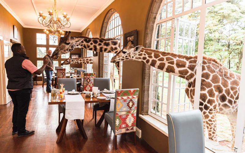 7. Giraffe Manor – Nairobi, Kenya 1. Ithaa Undersea Restaurant – Rangali Island, Maldives, 2. Le Jules Verne – Paris, France, 3. Vertigo and Moon Bar – Bangkok, Thailand, 4. Sierra Mar – Big Sur, California, 5. 139 Pavilion – Cairo, Egypt, 6. Ambrosia – Santorini, Greece, 7. Giraffe Manor – Nairobi, Kenya, 8. La MarléNaz – Bagnes, Switzerland, 9. Altitude – Sydney, Australia, 10. Mirablau – Barcelona, Spain, 11. Tuju – São Paulo, Brazil, 12. Dasheene – St. Lucia, 13. Cristal Room by Anne-Sophie Pic – Hong Kong, China, 14. Ariana's Persian Kitchen – Dubai, UAE