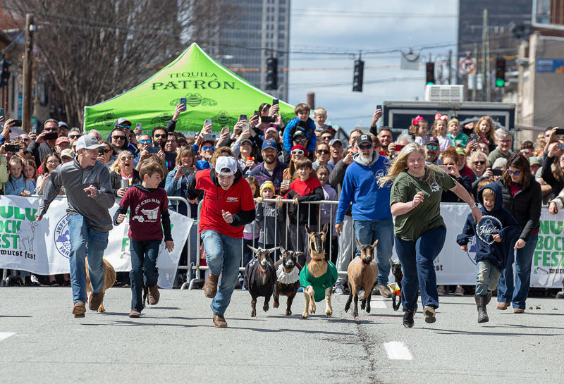 When is Bockfest held in 2026? , Where is the annual Bockfest held?, What special activities are there for kids at Bockfest?, Where do I find more information about the 2026 Bockfest