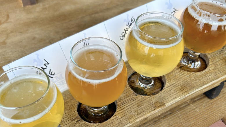 Breckenridge Brewery beer flight Knotted Root Brewing Company In Nederland, Outer Range Brewing Company In Frisco, Ratio Beerworks (Multiple Locations), WeldWerks Brewing Co. In Greeley, Methodology