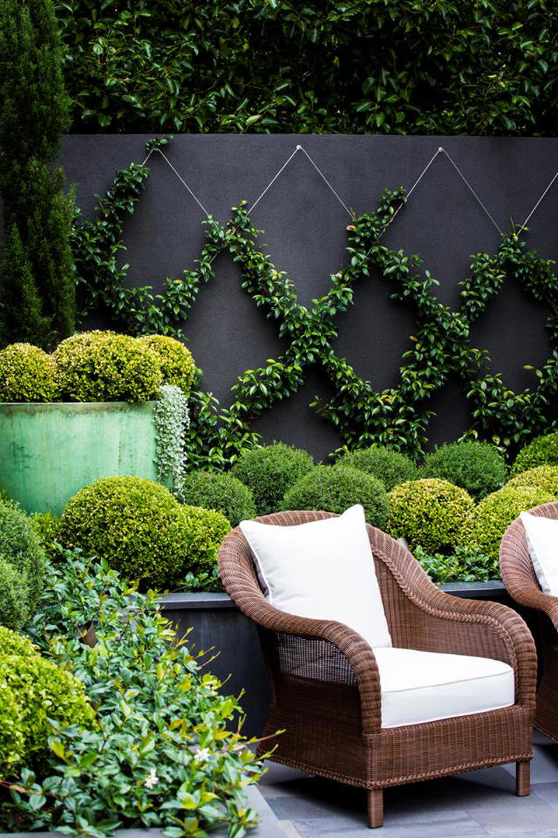 How do you make a small garden nice?, 13 clever small garden design ideas,      Screening plants   ,      Use the council verge   ,      Create layers   ,      A plunge pool   ,      Maximise natural light   ,      Mix and match   ,      Plant groundcover   ,      Create a leafy canopy   ,      Diamond climbers   ,      Add statement pot plants   ,      Choose hardy shrubs   ,      Create a tropical garden   ,      Miniature manicured garden   , How do you arrange pot plants in a small garden?, What is the cheapest ground cover for a garden?