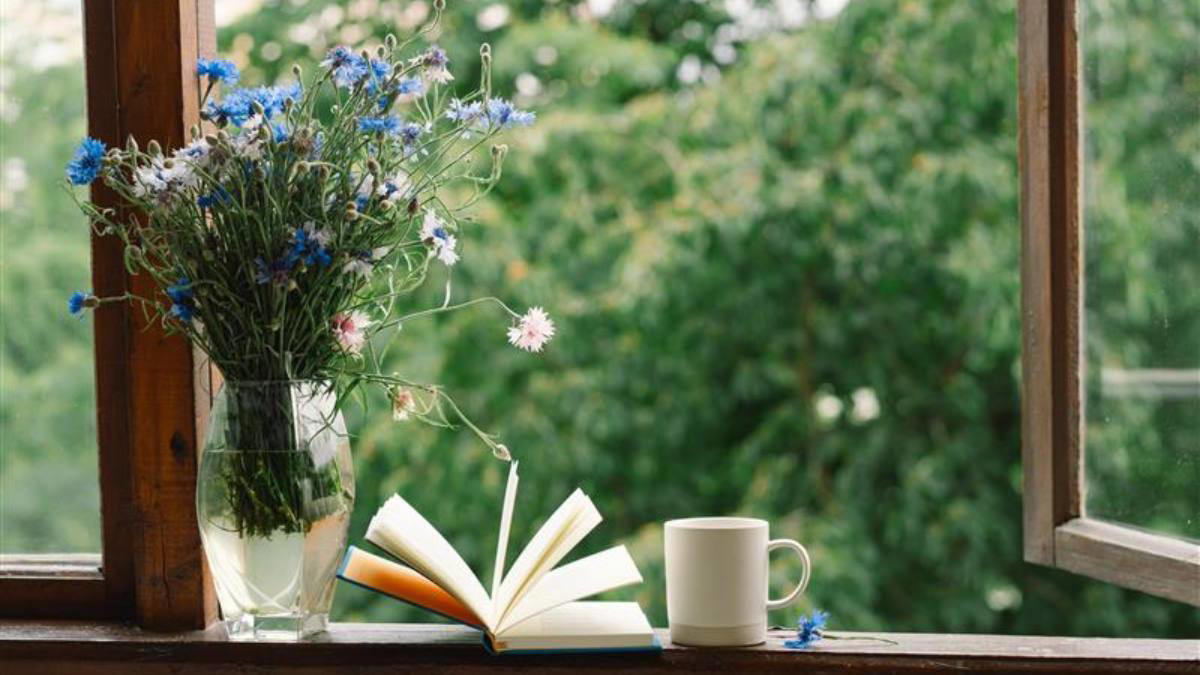 ‘Little Women' quotes on the craft of writing and books , Quotes on feminism , Quotes on money , Quotes on love
