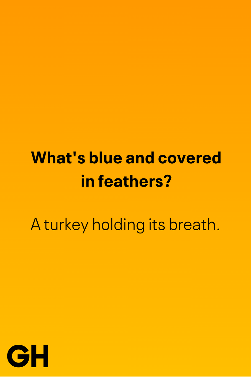 4) What's blue and covered in feathers? 1) What key can’t open any doors?, 2) What do you call a turkey who tells jokes?, 3) Why did the pie go to the dentist?, 4) Why don’t turkeys trust each other?, 5) Why did the corn go to therapy?, 6) What do you call a group of musical sweet potatoes?, 7) What do you call a running turkey?, 8) Why did the mashed potatoes go to therapy?, 9) What do you call a turkey on the day after Thanksgiving?, 10) Why did the turkey join the comedy club?, 11) What’s the best way to fix a broken pumpkin?, 12) Why did the cranberry blush?, 13) What do you need to make Thanksgiving s'mores?, 15) What's blue and covered in feathers?, 17) What did the ocean say when it saw the Mayflower crossing?, 18) Did you hear about the turkey that plays baseball?, 20) What did the pilgrim wear to dinner?, 21) What’s a pilgrim’s favorite dance?, 22) Why do pilgrims' pants always fall down?, 24) Did you hear the one about the rude turkey?, 25) What did Dad say when he was asked to say grace?, 26) Where did the Pilgrims stand after landing on Plymouth Rock?, 27) What do you call rain on Turkey Day?, 28) Why did the policeman stop you on your way home last Thanksgiving?, 29) Why was the turkey asked to join a band?, 30) When are turkeys the most grateful?, 31) Why didn't the pilgrim want to make the bread?, 32) How do little pumpkins cross the road?, 33) What Thanksgiving treat is the most popular at the kids' table?, 34) Why should you never tell secrets in a cornfield?, 35) What's something usually insulting, but not on Thanksgiving?, 36) What's the best song to sing when preparing your turkey?, 37) What should you expect at the end of Thanksgiving?, 38) Did you hear about the scarecrow who won first prize?, 39) Who should you invite to your Friendsgiving?, 40) What sound does a turkey's phone make?, 41) What do sweet potatoes wear to bed?, 44) Why is corn so popular on Thanksgiving?, 45) Why did the turkey bring a microphone to dinner?, 46) What's the smallest unit of measurement in the pilgrim cookbook?, 47) What do you call a sad cranberry?, 48) What do Thanksgiving and Halloween have in common?, 49) What did the mother turkey say to her disobedient children?, 50) What did the turkey say to the computer?, 51) What is a pumpkin's favorite sport?, 52) What kind of face does a pilgrim make when he's in pain?, 53) What was the turkey suspected of?, 54) What's the best way to stuff a turkey?, 55) Which side of the turkey has the most feathers?, 56) What would you get if you crossed a turkey with a ghost?, 57) What sound does a limping turkey make?, 59) What do you call a holiday dinner without the parents?, 60) What smells the best at a Thanksgiving dinner?, 61) What did the turkey say before it was roasted?, 62) What's a turkey's favorite Thanksgiving food?, 63) What happened when the turkey got into a fight?, 64) What’s the most musical part of a turkey?, 65) When is the turkey soup bad for your health?, 66) Why can’t you take a turkey to church?, 67) What do you call a running turkey?, 68) Why did the turkey cross the road?, 69) What role do green beans play in Thanksgiving dinner?, 70) Knock Knock. Who's there? Tamara., 71) What do you call a pilgrim's vocabulary?, 72) Why do turkeys gobble?, 73) Kevin James, 74) What's Frankenstein's favorite Thanksgiving dish?, 75) Jim Gaffigan, 76) Why was the Thanksgiving soup so expensive?, 77) What kind of key can't open doors?, 78) What did the turkey say to the turkey hunter on Thanksgiving Day?, 79) How did the salt and pepper welcome all the guests?, 81) When do you serve tofu turkey?, 82) If April showers bring May flowers, what do May flowers bring?, 83) What kind of music did the Pilgrims like?, 84) Why should you never set the turkey next to the dessert?, 85) Why did the turkey cross the road twice?
