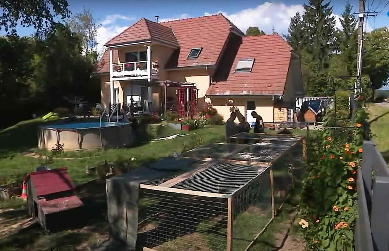 Ruffled residents take action against rowdy roosters Surprising real estate spats from around the globe, Homeowner built fence through neighbour's swimming pool, Woman gave house 'circus' makeover after planning complaints, Ruffled residents take action against rowdy roosters, Man builds three-foot-wide house to block neighbour’s outlook, Goalkeeper took chainsaw to neighbour’s garage over obstructed view, Neighbours' tree cut in half over bird mess, Neighbours' tree cut in half over bird poo squabble, Millionaire couple sued by neighbours over supercar headache, Airbnb host riled neighbours with pink emoji paint job, Civil War veteran built skinny house to spite his brother, Vegan sued neighbours over barbecue smells, Neighbour filed noise complaint over rowdy sea lions, Disgruntled man listed part of homeowner's wall for £37k
