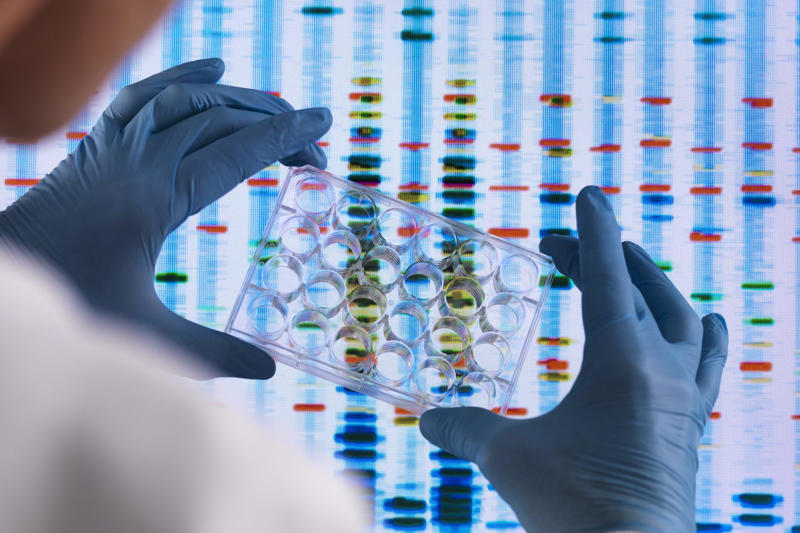 Towards future treatments for better health Cancer in all species, Bats avoid the disease, Long lives, Impressive, Remaining young and cancer-free, Understanding why, Three factors, Gene P53, Boosted protection, Immune system, What we can learn