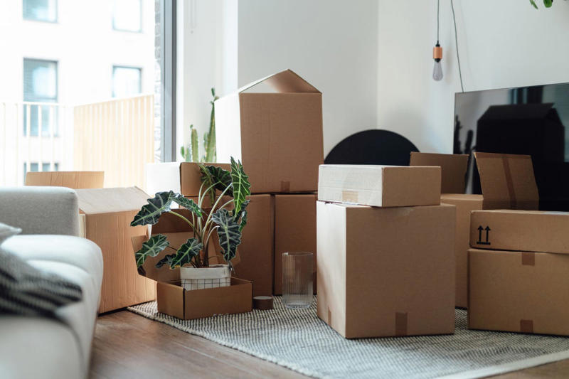 Take Measurements, Do an Inventory, Envision the New Space, Pare Down Your Stuff, Digitize Wherever Possible, Use Your Space Wisely, Hold Off on Buying New, Take Your Time, Set a Timeline