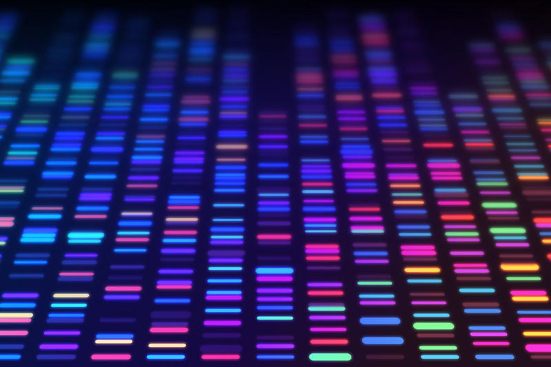 The Synthetic Human Genome Project, Controversial, Ethical concerns, UK-based research and funding, The benefits outweighed the risks, Human Genome Project, Reading, but not writing, Developing the methods, Genetic therapies, Curing almost any disease