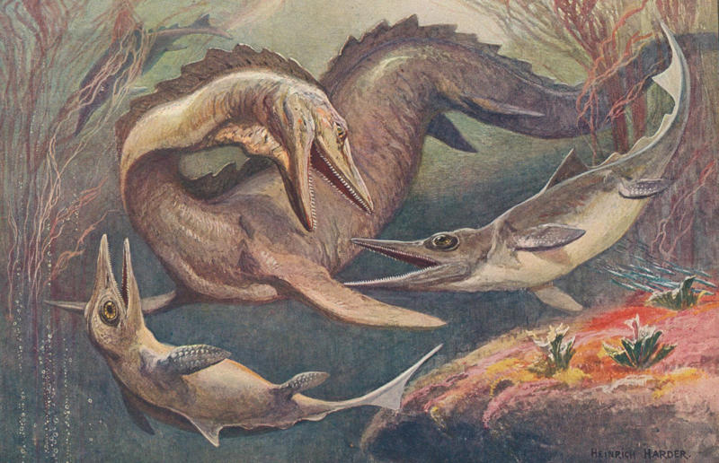 The wildlife we’ve lost forever, Trilobite, Dunkleosteus, Dimetrodon, Pteranodon, Mosasaurus, Quetzalcoatlus, Triceratops, Tyrannosaurus Rex, Megalodon, Diprotodon, Homo neanderthalensis, American lion, Glyptodon, Mastodon, Smilodon, Megatherium, Woolly mammoth, Irish elk, Steller's sea cow, Great auk, Falkland Islands Wolf, Labrador duck, Delcourt’s Giant Gecko, Passenger pigeon, Tasmanian tiger, Caribbean monk seal, Japanese sea lion, Golden toad, Pyrenean ibex, Caspian Tiger, Chinese River Dolphin, Western Black Rhinoceros, Pinta Giant Tortoise, Bramble Cay Melomys, Javan tiger