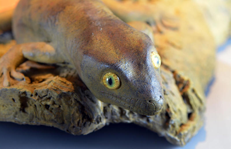 The wildlife we’ve lost forever, Trilobite, Dunkleosteus, Dimetrodon, Pteranodon, Mosasaurus, Quetzalcoatlus, Triceratops, Tyrannosaurus Rex, Megalodon, Diprotodon, Homo neanderthalensis, American lion, Glyptodon, Mastodon, Smilodon, Megatherium, Woolly mammoth, Irish elk, Steller's sea cow, Great auk, Falkland Islands Wolf, Labrador duck, Delcourt’s Giant Gecko, Passenger pigeon, Tasmanian tiger, Caribbean monk seal, Japanese sea lion, Golden toad, Pyrenean ibex, Caspian Tiger, Chinese River Dolphin, Western Black Rhinoceros, Pinta Giant Tortoise, Bramble Cay Melomys, Javan tiger