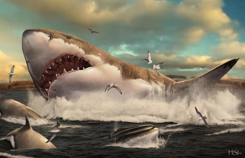 The wildlife we’ve lost forever, Trilobite, Dunkleosteus, Dimetrodon, Pteranodon, Mosasaurus, Quetzalcoatlus, Triceratops, Tyrannosaurus Rex, Megalodon, Diprotodon, Homo neanderthalensis, American lion, Glyptodon, Mastodon, Smilodon, Megatherium, Woolly mammoth, Irish elk, Steller's sea cow, Great auk, Falkland Islands Wolf, Labrador duck, Delcourt’s Giant Gecko, Passenger pigeon, Tasmanian tiger, Caribbean monk seal, Japanese sea lion, Golden toad, Pyrenean ibex, Caspian Tiger, Chinese River Dolphin, Western Black Rhinoceros, Pinta Giant Tortoise, Bramble Cay Melomys, Javan tiger