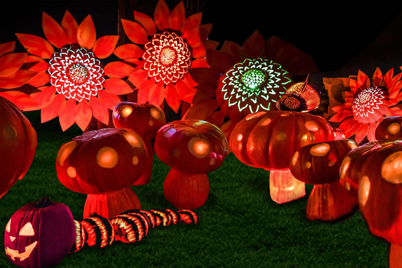 Monday, Oct. 20, Tuesday, Oct. 21, Thursday, Oct. 23, Friday, Oct. 24, Saturday, Oct. 25, Sunday, Oct. 26