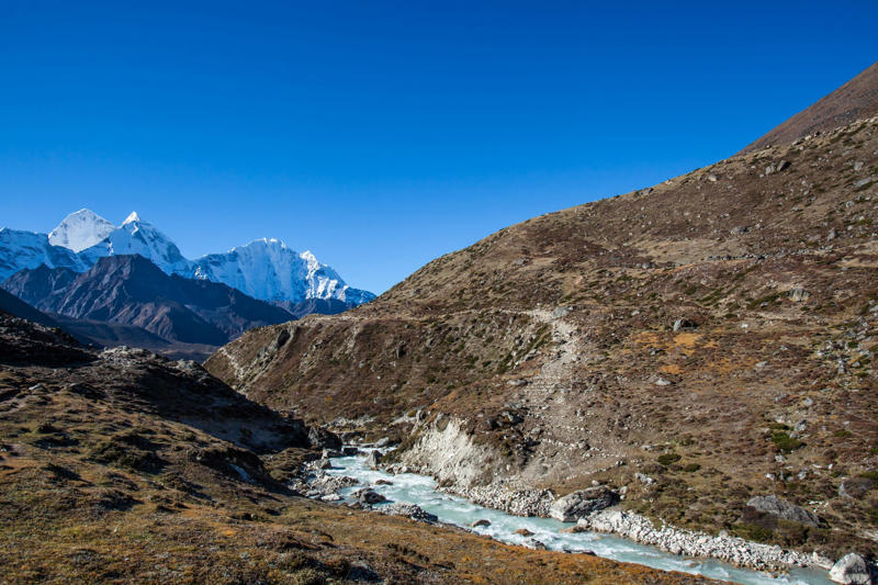 Evolving with the environment, Oxygen levels are crucial for reproduction, Low oxygen levels, Evolutionary adaptation, Unique features, Good oxygen distribution, Adapted generations, Over 3,500 meters above sea level, High oxygen saturation, Without burdening the heart, Stronger hearts, A genetic trait that originated about 50,000 years ago, A gene mutation, Other associated factors, Cynthia Beall, author of the study