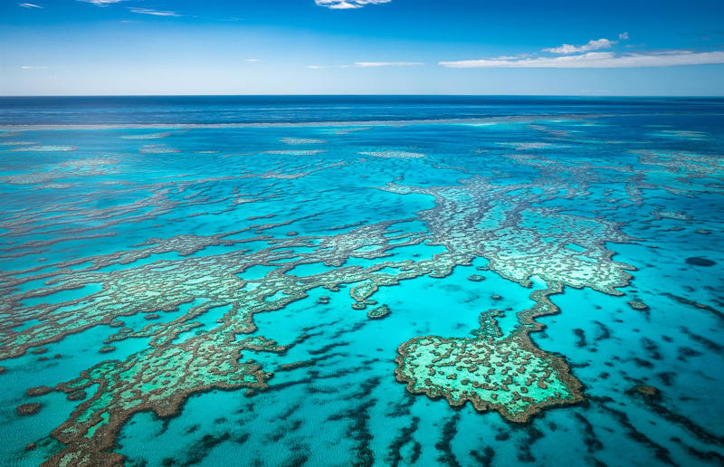 Now or never, Diving the Great Barrier Reef, Australia, Taking a gondola in Venice, Italy, Hanging with the orangutans, Indonesia and Malaysia, Photographing the Salar de Uyuni, Bolivia, Trekking to Machu Picchu, Peru, Climbing the Statue of Liberty, New York, USA, Snorkelling in the Indian Ocean, Maldives, Watching polar bears in Hudson Bay, Canada, Turning back time in Ancient Olympia, Greece, Drinking wine in Bordeaux, France, Climbing Kilimanjaro, Tanzania, Dragon spotting on Komodo Island, Indonesia, Walking the Great Wall, China, Exploring the Amazon rainforest, Brazil
