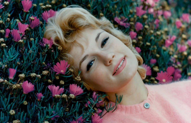 Inside the former homes of entertainment icons, Judy Garland's Bel Air bungalow, Dolores del Rio's bespoke love nest, Frank Sinatra's mid-century modern mansion, Howard Hughes' Spanish Revival mansion, Elizabeth Taylor's Beverly Hills mansion, Marilyn Monroe's would-be forever home, James Dean's Spanish-style hacienda, Lauren Bacall's Manhattan apartment, Cary Grant's romantic Palm Springs hideaway, Yvette Mimieux's Bel Air estate, Audrey Hepburn and Mel Ferrer's Colonial Estate, Marlene Dietrich's Beverly Hills rental, Carmen Miranda's Hollywood home