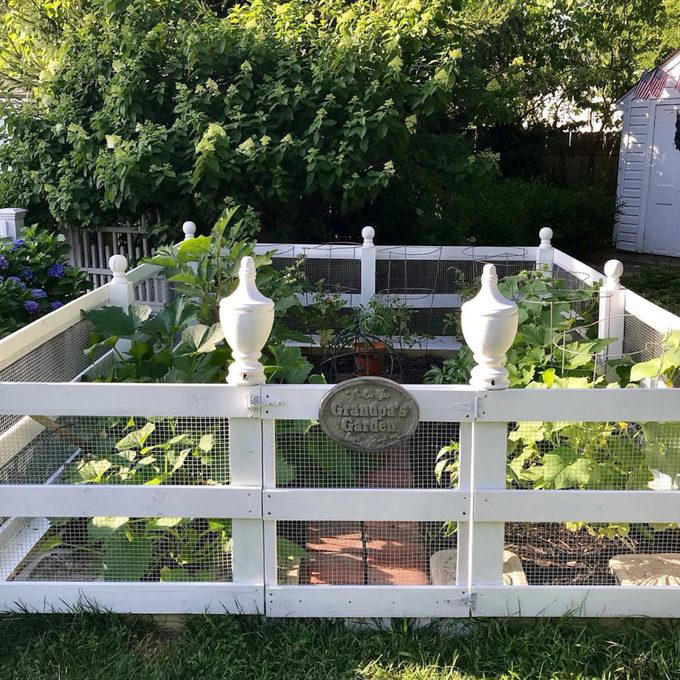 Deer Fence, Wood Fence With Finials, Pallet Wood Fence, Rustic Wood Stick Fence, Wire-Rolled Picket Fence, Cedar Wood Fence, Crossbuck Fence, Salvaged Door Fence, Willow Weave Fence, Repurposed Wood Garden Fence, About the Expert