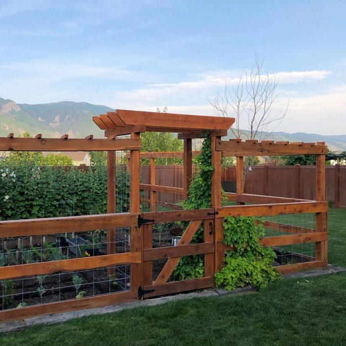 Deer Fence, Wood Fence With Finials, Pallet Wood Fence, Rustic Wood Stick Fence, Wire-Rolled Picket Fence, Cedar Wood Fence, Crossbuck Fence, Salvaged Door Fence, Willow Weave Fence, Repurposed Wood Garden Fence, About the Expert