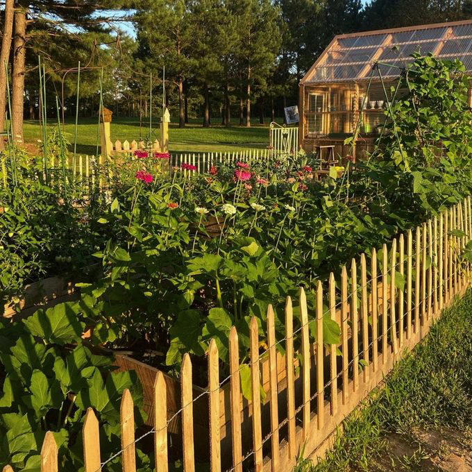 Deer Fence, Wood Fence With Finials, Pallet Wood Fence, Rustic Wood Stick Fence, Wire-Rolled Picket Fence, Cedar Wood Fence, Crossbuck Fence, Salvaged Door Fence, Willow Weave Fence, Repurposed Wood Garden Fence, About the Expert