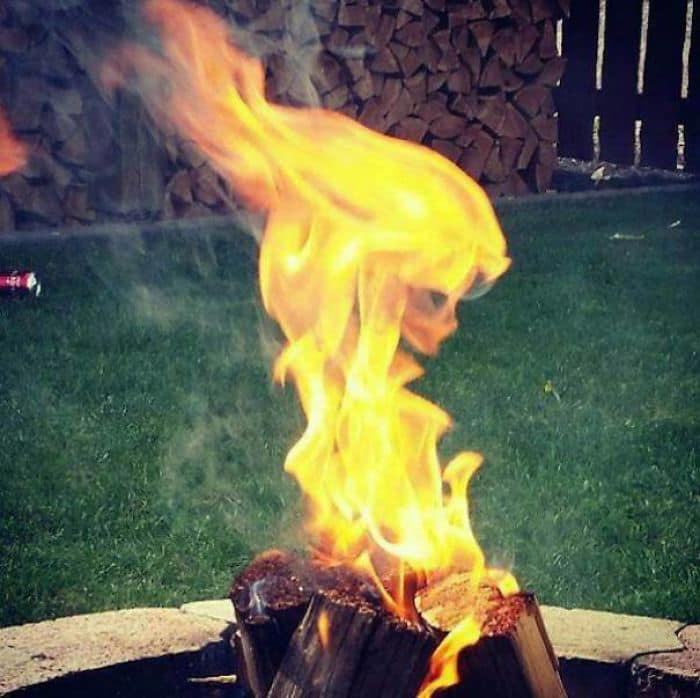 23 Instances Where 'Pics or It Didn't Happen' Had The Receipts