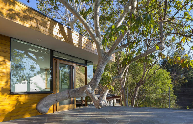 Where nature and architecture meet, The Pierre, Washington, USA, Ancient sandstone cave home, Worcestershire, UK, Fallingwater, Pennsylvania, USA, Casa do Penedo, Fafe, Portugal, Cave house, Ciudad Real, Spain, Morada Escondida, Todos Santos, Mexico, Turf homes, Hofskirkja, Iceland, Around the Oak, Saxony-Anhalt, Germany, Dune House, Massachusetts, USA, Sycamore House, California, USA, House Inside a Rock, Hejaz, Saudi Arabia