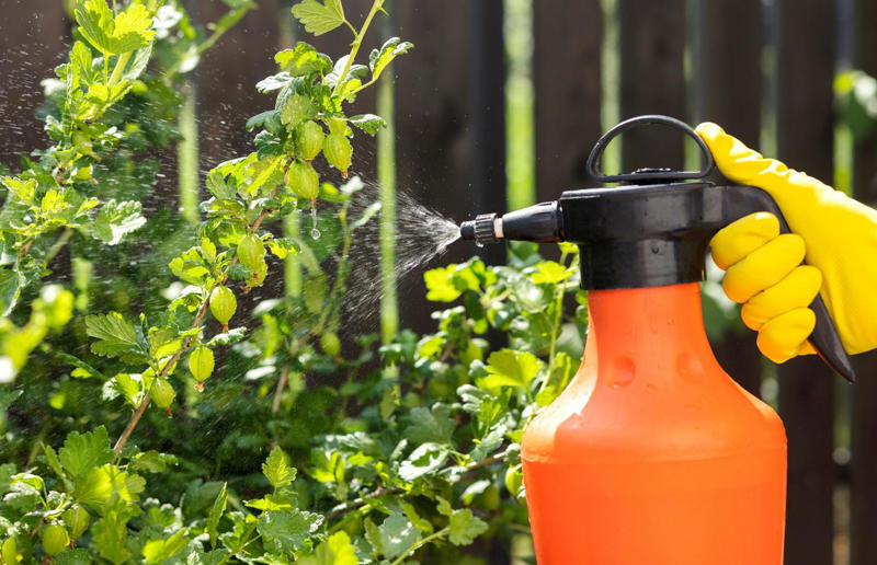 Pesticides and pest control Hidden household dangers that could cause your pets harm, Unsecured balconies, Open windows, Blinds and blind cords, Unchecked staircases, Wooden floors, Small gaps behind fitted furniture, Loose electrical cables, Irons and hair straighteners, Children’s toys and small electricals, Loose personal items, Human and pet medication, Plastic shopping bags, Left out food, Dustbins and open binbags, Hot kitchen hobs, Washing machines and tumble dryers, Toilet bowls, Cleaning supplies, Beauty products, Unattended candles, Toxic plants and flowers, Christmas trees and decorations, Entrance doors, Damaged fences or garden boundaries, Pesticides and pest control, Garden alone time, An open garden gate, Swimming pools and ponds, Car maintenance products, Bird-specific advice, What to do in an emergency