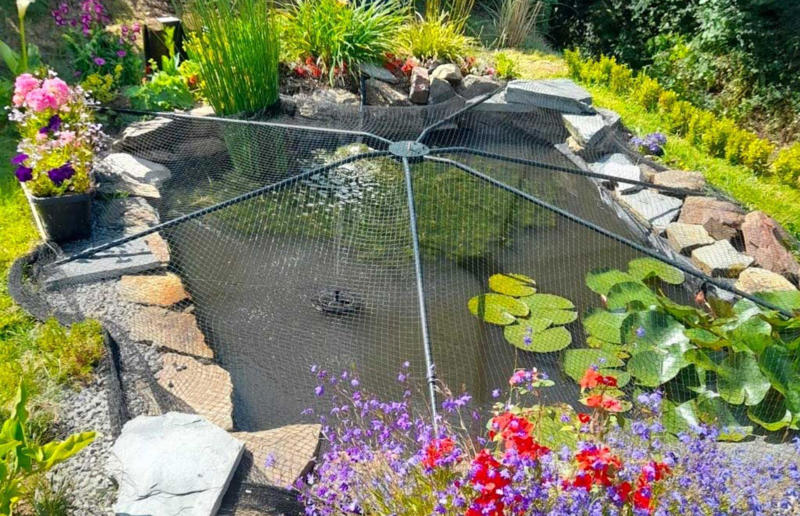 Swimming pools and ponds Hidden household dangers that could cause your pets harm, Unsecured balconies, Open windows, Blinds and blind cords, Unchecked staircases, Wooden floors, Small gaps behind fitted furniture, Loose electrical cables, Irons and hair straighteners, Children’s toys and small electricals, Loose personal items, Human and pet medication, Plastic shopping bags, Left out food, Dustbins and open binbags, Hot kitchen hobs, Washing machines and tumble dryers, Toilet bowls, Cleaning supplies, Beauty products, Unattended candles, Toxic plants and flowers, Christmas trees and decorations, Entrance doors, Damaged fences or garden boundaries, Pesticides and pest control, Garden alone time, An open garden gate, Swimming pools and ponds, Car maintenance products, Bird-specific advice, What to do in an emergency