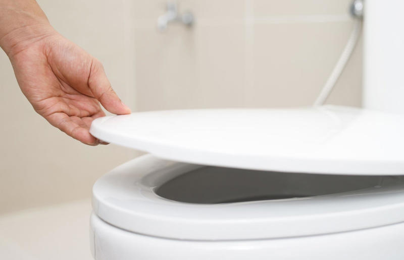 Toilet bowls Hidden household dangers that could cause your pets harm, Unsecured balconies, Open windows, Blinds and blind cords, Unchecked staircases, Wooden floors, Small gaps behind fitted furniture, Loose electrical cables, Irons and hair straighteners, Children’s toys and small electricals, Loose personal items, Human and pet medication, Plastic shopping bags, Left out food, Dustbins and open binbags, Hot kitchen hobs, Washing machines and tumble dryers, Toilet bowls, Cleaning supplies, Beauty products, Unattended candles, Toxic plants and flowers, Christmas trees and decorations, Entrance doors, Damaged fences or garden boundaries, Pesticides and pest control, Garden alone time, An open garden gate, Swimming pools and ponds, Car maintenance products, Bird-specific advice, What to do in an emergency