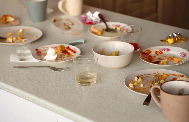 Left out food Hidden household dangers that could cause your pets harm, Unsecured balconies, Open windows, Blinds and blind cords, Unchecked staircases, Wooden floors, Small gaps behind fitted furniture, Loose electrical cables, Irons and hair straighteners, Children’s toys and small electricals, Loose personal items, Human and pet medication, Plastic shopping bags, Left out food, Dustbins and open binbags, Hot kitchen hobs, Washing machines and tumble dryers, Toilet bowls, Cleaning supplies, Beauty products, Unattended candles, Toxic plants and flowers, Christmas trees and decorations, Entrance doors, Damaged fences or garden boundaries, Pesticides and pest control, Garden alone time, An open garden gate, Swimming pools and ponds, Car maintenance products, Bird-specific advice, What to do in an emergency