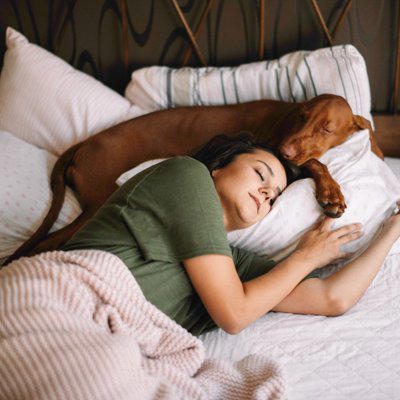 犬が飼い主の近くで寝る心理, 枕元は大好きの証, 体の上は甘えたい, 足元は適度な安心感を求めるサイン, 腕枕や布団の中は分離不安ぎみ？, 犬と一緒に眠るときの注意点, こまめに寝具を洗濯する, 寝相に気を付ける