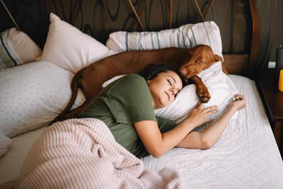 犬が飼い主の近くで寝る心理, 枕元は大好きの証, 体の上は甘えたい, 足元は適度な安心感を求めるサイン, 腕枕や布団の中は分離不安ぎみ？, 犬と一緒に眠るときの注意点, こまめに寝具を洗濯する, 寝相に気を付ける