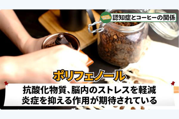 認知症は単なる物忘れではない？ 発症のメカニズムと意外なリスク, 見逃さないで！ 認知症の”一歩手前”を知らせる7つのサイン, 昼寝と認知症の深い関係！「寝すぎ」と「寝なさすぎ」、リスクが高いのは？, コーヒーに含まれる“何の成分”が認知症を予防する？, NASAも実践！ おすすめの予防法「コーヒーナップ＋1」, 先生からのメッセージ