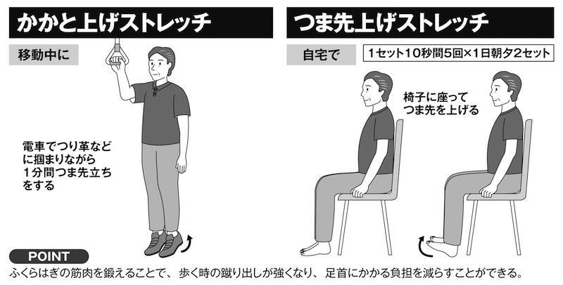 足腰が弱ると寝たきりや認知機能の低下を招く可能性も, 「かかと上げストレッチ」や「アキレス腱ストレッチ」で足首を守り、柔軟性を保つ, 「つま先上げストレッチ」のやりかた, 「かかと上げストレッチ」のやりかた, 「アキレス腱ストレッチ」のやりかた, 「足首の関節ストレッチ」のやりかた, 「足首ゴムバンドストレッチ」のやりかた, 「足浴」は高齢者の転倒予防の効果も