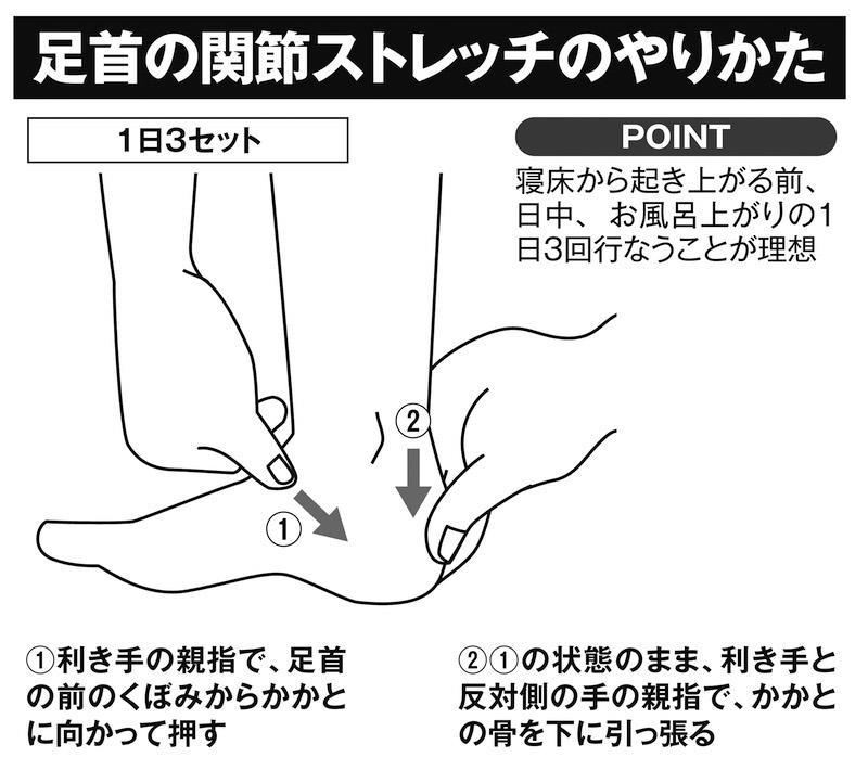 足腰が弱ると寝たきりや認知機能の低下を招く可能性も, 「かかと上げストレッチ」や「アキレス腱ストレッチ」で足首を守り、柔軟性を保つ, 「つま先上げストレッチ」のやりかた, 「かかと上げストレッチ」のやりかた, 「アキレス腱ストレッチ」のやりかた, 「足首の関節ストレッチ」のやりかた, 「足首ゴムバンドストレッチ」のやりかた, 「足浴」は高齢者の転倒予防の効果も