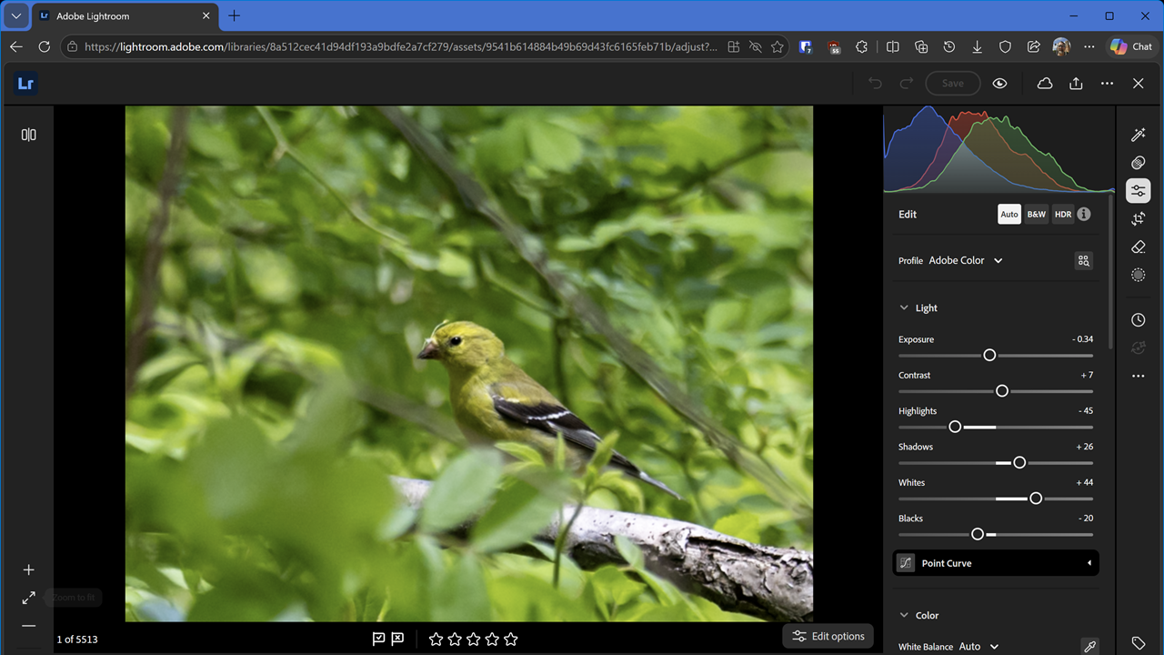 Cost: One Subscription, Two Apps, Interface and Ease of Use: Lightroom Wins on Simplicity, Importing and Raw Support: No Significant Differences, Photo Organization: Catalogs vs. Cloud Libraries, Photo Search: Lightroom's AI Gives It the Edge, Editing: Both Have All the Tools You Need, AI Tools: Both Benefit From Adobe's Latest Advances, Professional Capabilities: Classic Still Owns the Pro Workflow, Output and Printing: Classic Remains the Better Finisher, Collaboration, Community, and Help: Lightroom Broadens Your Creative Horizons, Mobile App and Syncing: Lightroom Is Built for Access Everywhere, Web App: Surprisingly Powerful on Either Platform
