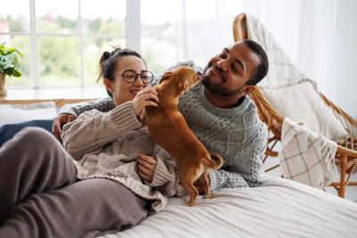 犬が「友達だと思っている人」にみせる5つの行動, 1.お腹を見せてゴロンとする, 2.お気に入りのおもちゃを持ってくる, 3.体をピタッとくっつけてくる, 4.優しくじっと見つめてくる, 5.あくびを真似する, 犬にとっての「友達」とは？, もっと仲良くなるためのコツ