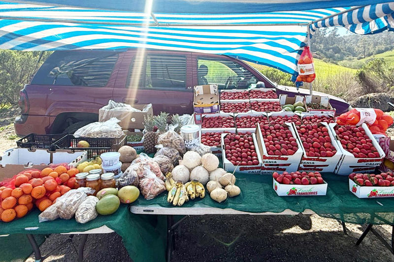 Earthbound Farm Stand, Carmel Highlands General Store, Cafe Kevah, Deetjen’s Restaurant, The Restaurant at Ragged Point, Linn’s of Cambria, Fernandez Produce