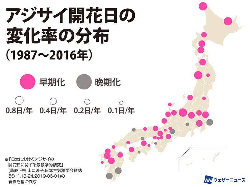 小さな変化も気候変動のしるし?, 開花日を決めるのは気温？ 湿度？ 雨？, 直前3ヵ月の気温が影響？, 開花前線の速度も加速