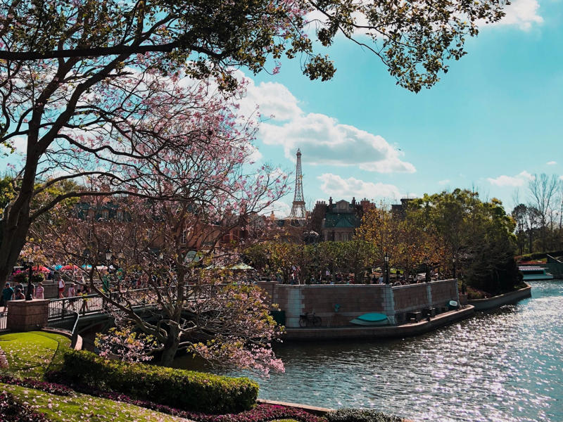 There's plenty to explore outside the 4 main theme parks, Plan for rain even on the sunniest days, It's nice to have a little escape from the Disney bubble, Always travel in the offseason if you can, I'm a big fan of taking an afternoon break, Arrive before the park opens if you want the 'rope-drop' perks, You'll never be able to do it all in one trip