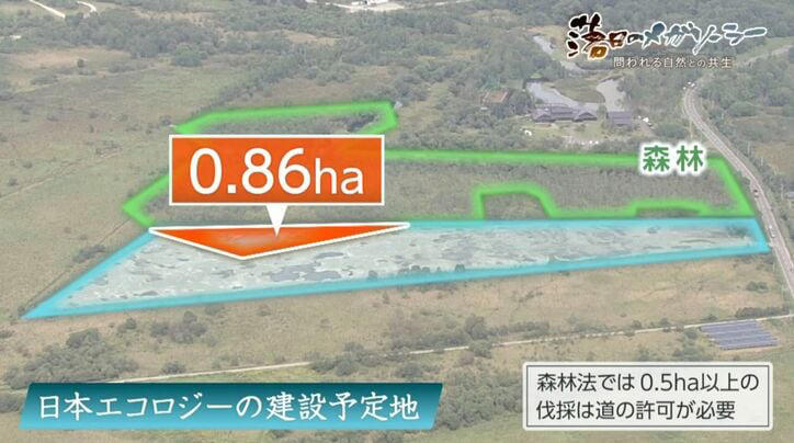 ■国策「再エネ」と希少生物の営み, ■ずさんな調査と「ノーモアメガソーラー宣言」, ■森林法違反と深まる住民との対立, ■「希少種を主語にした法律を」自然との共生への道
