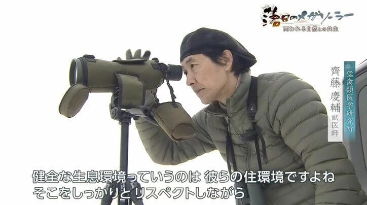 ■国策「再エネ」と希少生物の営み, ■ずさんな調査と「ノーモアメガソーラー宣言」, ■森林法違反と深まる住民との対立, ■「希少種を主語にした法律を」自然との共生への道