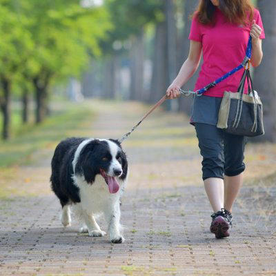 犬のリードは持ち方を間違えると事故やケガの原因に, 犬に絶対NGな『リードの持ち方』５選, 1.指に引っ掛けているだけ, 2.手首にぐるぐる巻きつける, 3.リードを長く垂らして持つ, 4.両手に物を持った状態で手首に引っ掛ける, 5.輪っか部分だけを持つ, 正しいリードの持ち方は？安全な散歩のコツも解説, 安全に散歩を楽しむコツ