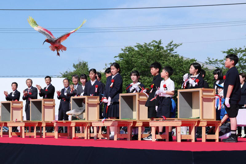 小学生らの手によって放鳥されたトキ＝石川県羽咋市で2026年5月31日午後3時27分、岩本一希撮影, 羽咋市役所に到着し、出迎えを受ける秋篠宮ご夫妻＝石川県羽咋市で2026年5月31日午後0時9分（代表撮影）, 放鳥に際しトキが入った箱を開けられる秋篠宮ご夫妻＝石川県羽咋市で2026年5月31日午後3時24分、岩本一希撮影, 小学生らの手によって放鳥されたトキ＝石川県羽咋市で2026年5月31日午後3時27分、岩本一希撮影, 小学生らの手によって放鳥されたトキ＝石川県羽咋市で2026年5月31日午後3時27分、岩本一希撮影, 小学生らの手によって放鳥されたトキ＝石川県羽咋市で2026年5月31日午後3時27分、岩本一希撮影, トキを放鳥される秋篠宮ご夫妻＝石川県羽咋市で2026年5月31日午後3時25分、岩本一希撮影, トキを放鳥される秋篠宮ご夫妻＝石川県羽咋市で2026年5月31日午後3時25分、岩本一希撮影, トキを放鳥される秋篠宮ご夫妻＝石川県羽咋市で2026年5月31日午後3時25分、岩本一希撮影, 放鳥式でトキを放たれた秋篠宮ご夫妻＝石川県羽咋市で2026年5月31日午後3時25分（代表撮影）, トキを放鳥される秋篠宮ご夫妻＝石川県羽咋市で2026年5月31日午後3時24分（代表撮影）, トキを放鳥される秋篠宮ご夫妻＝石川県羽咋市で2026年5月31日午後3時24分（代表撮影）, 放鳥され、舞い上がるトキ＝石川県羽咋市で2026年5月31日午後3時27分（代表撮影）, 放鳥され能登の空を舞うトキ＝石川県羽咋市で2026年5月31日午後3時25分、岩本一希撮影, 放鳥されたトキ＝石川県羽咋市で2026年5月31日午後3時27分、岩本一希撮影