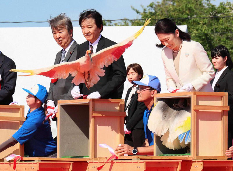 小学生らの手によって放鳥されたトキ＝石川県羽咋市で2026年5月31日午後3時27分、岩本一希撮影, 羽咋市役所に到着し、出迎えを受ける秋篠宮ご夫妻＝石川県羽咋市で2026年5月31日午後0時9分（代表撮影）, 放鳥に際しトキが入った箱を開けられる秋篠宮ご夫妻＝石川県羽咋市で2026年5月31日午後3時24分、岩本一希撮影, 小学生らの手によって放鳥されたトキ＝石川県羽咋市で2026年5月31日午後3時27分、岩本一希撮影, 小学生らの手によって放鳥されたトキ＝石川県羽咋市で2026年5月31日午後3時27分、岩本一希撮影, 小学生らの手によって放鳥されたトキ＝石川県羽咋市で2026年5月31日午後3時27分、岩本一希撮影, トキを放鳥される秋篠宮ご夫妻＝石川県羽咋市で2026年5月31日午後3時25分、岩本一希撮影, トキを放鳥される秋篠宮ご夫妻＝石川県羽咋市で2026年5月31日午後3時25分、岩本一希撮影, トキを放鳥される秋篠宮ご夫妻＝石川県羽咋市で2026年5月31日午後3時25分、岩本一希撮影, 放鳥式でトキを放たれた秋篠宮ご夫妻＝石川県羽咋市で2026年5月31日午後3時25分（代表撮影）, トキを放鳥される秋篠宮ご夫妻＝石川県羽咋市で2026年5月31日午後3時24分（代表撮影）, トキを放鳥される秋篠宮ご夫妻＝石川県羽咋市で2026年5月31日午後3時24分（代表撮影）, 放鳥され、舞い上がるトキ＝石川県羽咋市で2026年5月31日午後3時27分（代表撮影）, 放鳥され能登の空を舞うトキ＝石川県羽咋市で2026年5月31日午後3時25分、岩本一希撮影, 放鳥されたトキ＝石川県羽咋市で2026年5月31日午後3時27分、岩本一希撮影