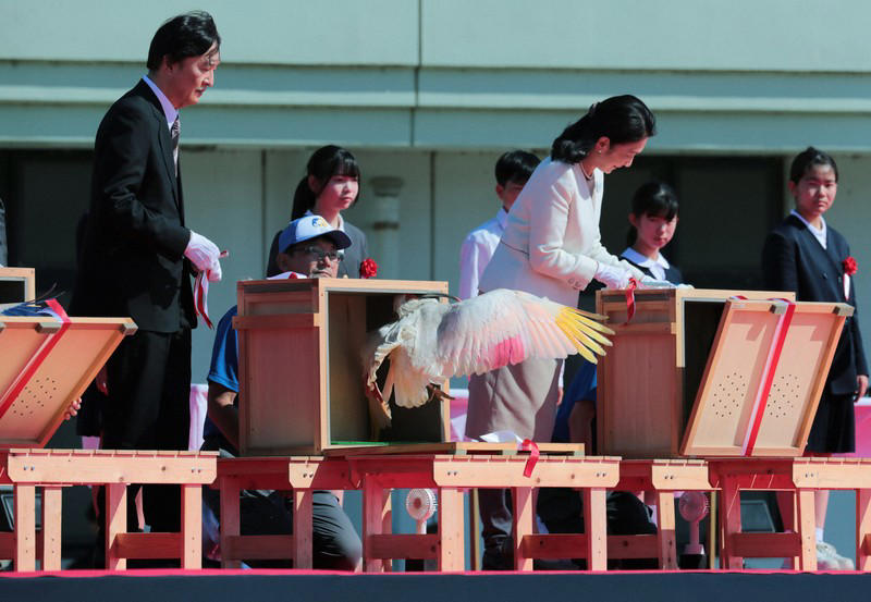 小学生らの手によって放鳥されたトキ＝石川県羽咋市で2026年5月31日午後3時27分、岩本一希撮影, 羽咋市役所に到着し、出迎えを受ける秋篠宮ご夫妻＝石川県羽咋市で2026年5月31日午後0時9分（代表撮影）, 放鳥に際しトキが入った箱を開けられる秋篠宮ご夫妻＝石川県羽咋市で2026年5月31日午後3時24分、岩本一希撮影, 小学生らの手によって放鳥されたトキ＝石川県羽咋市で2026年5月31日午後3時27分、岩本一希撮影, 小学生らの手によって放鳥されたトキ＝石川県羽咋市で2026年5月31日午後3時27分、岩本一希撮影, 小学生らの手によって放鳥されたトキ＝石川県羽咋市で2026年5月31日午後3時27分、岩本一希撮影, トキを放鳥される秋篠宮ご夫妻＝石川県羽咋市で2026年5月31日午後3時25分、岩本一希撮影, トキを放鳥される秋篠宮ご夫妻＝石川県羽咋市で2026年5月31日午後3時25分、岩本一希撮影, トキを放鳥される秋篠宮ご夫妻＝石川県羽咋市で2026年5月31日午後3時25分、岩本一希撮影, 放鳥式でトキを放たれた秋篠宮ご夫妻＝石川県羽咋市で2026年5月31日午後3時25分（代表撮影）, トキを放鳥される秋篠宮ご夫妻＝石川県羽咋市で2026年5月31日午後3時24分（代表撮影）, トキを放鳥される秋篠宮ご夫妻＝石川県羽咋市で2026年5月31日午後3時24分（代表撮影）, 放鳥され、舞い上がるトキ＝石川県羽咋市で2026年5月31日午後3時27分（代表撮影）, 放鳥され能登の空を舞うトキ＝石川県羽咋市で2026年5月31日午後3時25分、岩本一希撮影, 放鳥されたトキ＝石川県羽咋市で2026年5月31日午後3時27分、岩本一希撮影