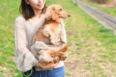 犬見知りな犬がよくする行動, 1.飼い主の後ろに隠れて出てこなくなる, 2.視線をそらしたり顔をそむけたりする, 3.身動きできずに固まってしまう, 愛犬を社交的な性格に育てるコツ, 犬見知りな愛犬のために飼い主がすべき配慮