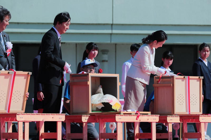 小学生らの手によって放鳥されたトキ＝石川県羽咋市で2026年5月31日午後3時27分、岩本一希撮影, 羽咋市役所に到着し、出迎えを受ける秋篠宮ご夫妻＝石川県羽咋市で2026年5月31日午後0時9分（代表撮影）, 放鳥に際しトキが入った箱を開けられる秋篠宮ご夫妻＝石川県羽咋市で2026年5月31日午後3時24分、岩本一希撮影, 小学生らの手によって放鳥されたトキ＝石川県羽咋市で2026年5月31日午後3時27分、岩本一希撮影, 小学生らの手によって放鳥されたトキ＝石川県羽咋市で2026年5月31日午後3時27分、岩本一希撮影, 小学生らの手によって放鳥されたトキ＝石川県羽咋市で2026年5月31日午後3時27分、岩本一希撮影, トキを放鳥される秋篠宮ご夫妻＝石川県羽咋市で2026年5月31日午後3時25分、岩本一希撮影, トキを放鳥される秋篠宮ご夫妻＝石川県羽咋市で2026年5月31日午後3時25分、岩本一希撮影, トキを放鳥される秋篠宮ご夫妻＝石川県羽咋市で2026年5月31日午後3時25分、岩本一希撮影, 放鳥式でトキを放たれた秋篠宮ご夫妻＝石川県羽咋市で2026年5月31日午後3時25分（代表撮影）, トキを放鳥される秋篠宮ご夫妻＝石川県羽咋市で2026年5月31日午後3時24分（代表撮影）, トキを放鳥される秋篠宮ご夫妻＝石川県羽咋市で2026年5月31日午後3時24分（代表撮影）, 放鳥され、舞い上がるトキ＝石川県羽咋市で2026年5月31日午後3時27分（代表撮影）, 放鳥され能登の空を舞うトキ＝石川県羽咋市で2026年5月31日午後3時25分、岩本一希撮影, 放鳥されたトキ＝石川県羽咋市で2026年5月31日午後3時27分、岩本一希撮影