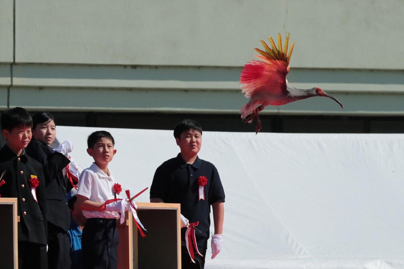 小学生らの手によって放鳥されたトキ＝石川県羽咋市で2026年5月31日午後3時27分、岩本一希撮影, 羽咋市役所に到着し、出迎えを受ける秋篠宮ご夫妻＝石川県羽咋市で2026年5月31日午後0時9分（代表撮影）, 放鳥に際しトキが入った箱を開けられる秋篠宮ご夫妻＝石川県羽咋市で2026年5月31日午後3時24分、岩本一希撮影, 小学生らの手によって放鳥されたトキ＝石川県羽咋市で2026年5月31日午後3時27分、岩本一希撮影, 小学生らの手によって放鳥されたトキ＝石川県羽咋市で2026年5月31日午後3時27分、岩本一希撮影, 小学生らの手によって放鳥されたトキ＝石川県羽咋市で2026年5月31日午後3時27分、岩本一希撮影, トキを放鳥される秋篠宮ご夫妻＝石川県羽咋市で2026年5月31日午後3時25分、岩本一希撮影, トキを放鳥される秋篠宮ご夫妻＝石川県羽咋市で2026年5月31日午後3時25分、岩本一希撮影, トキを放鳥される秋篠宮ご夫妻＝石川県羽咋市で2026年5月31日午後3時25分、岩本一希撮影, 放鳥式でトキを放たれた秋篠宮ご夫妻＝石川県羽咋市で2026年5月31日午後3時25分（代表撮影）, トキを放鳥される秋篠宮ご夫妻＝石川県羽咋市で2026年5月31日午後3時24分（代表撮影）, トキを放鳥される秋篠宮ご夫妻＝石川県羽咋市で2026年5月31日午後3時24分（代表撮影）, 放鳥され、舞い上がるトキ＝石川県羽咋市で2026年5月31日午後3時27分（代表撮影）, 放鳥され能登の空を舞うトキ＝石川県羽咋市で2026年5月31日午後3時25分、岩本一希撮影, 放鳥されたトキ＝石川県羽咋市で2026年5月31日午後3時27分、岩本一希撮影