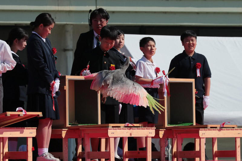 小学生らの手によって放鳥されたトキ＝石川県羽咋市で2026年5月31日午後3時27分、岩本一希撮影, 羽咋市役所に到着し、出迎えを受ける秋篠宮ご夫妻＝石川県羽咋市で2026年5月31日午後0時9分（代表撮影）, 放鳥に際しトキが入った箱を開けられる秋篠宮ご夫妻＝石川県羽咋市で2026年5月31日午後3時24分、岩本一希撮影, 小学生らの手によって放鳥されたトキ＝石川県羽咋市で2026年5月31日午後3時27分、岩本一希撮影, 小学生らの手によって放鳥されたトキ＝石川県羽咋市で2026年5月31日午後3時27分、岩本一希撮影, 小学生らの手によって放鳥されたトキ＝石川県羽咋市で2026年5月31日午後3時27分、岩本一希撮影, トキを放鳥される秋篠宮ご夫妻＝石川県羽咋市で2026年5月31日午後3時25分、岩本一希撮影, トキを放鳥される秋篠宮ご夫妻＝石川県羽咋市で2026年5月31日午後3時25分、岩本一希撮影, トキを放鳥される秋篠宮ご夫妻＝石川県羽咋市で2026年5月31日午後3時25分、岩本一希撮影, 放鳥式でトキを放たれた秋篠宮ご夫妻＝石川県羽咋市で2026年5月31日午後3時25分（代表撮影）, トキを放鳥される秋篠宮ご夫妻＝石川県羽咋市で2026年5月31日午後3時24分（代表撮影）, トキを放鳥される秋篠宮ご夫妻＝石川県羽咋市で2026年5月31日午後3時24分（代表撮影）, 放鳥され、舞い上がるトキ＝石川県羽咋市で2026年5月31日午後3時27分（代表撮影）, 放鳥され能登の空を舞うトキ＝石川県羽咋市で2026年5月31日午後3時25分、岩本一希撮影, 放鳥されたトキ＝石川県羽咋市で2026年5月31日午後3時27分、岩本一希撮影