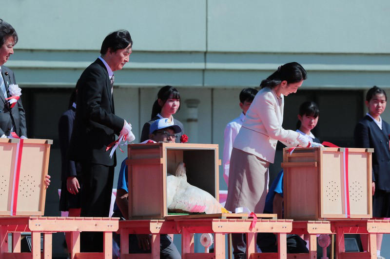 小学生らの手によって放鳥されたトキ＝石川県羽咋市で2026年5月31日午後3時27分、岩本一希撮影, 羽咋市役所に到着し、出迎えを受ける秋篠宮ご夫妻＝石川県羽咋市で2026年5月31日午後0時9分（代表撮影）, 放鳥に際しトキが入った箱を開けられる秋篠宮ご夫妻＝石川県羽咋市で2026年5月31日午後3時24分、岩本一希撮影, 小学生らの手によって放鳥されたトキ＝石川県羽咋市で2026年5月31日午後3時27分、岩本一希撮影, 小学生らの手によって放鳥されたトキ＝石川県羽咋市で2026年5月31日午後3時27分、岩本一希撮影, 小学生らの手によって放鳥されたトキ＝石川県羽咋市で2026年5月31日午後3時27分、岩本一希撮影, トキを放鳥される秋篠宮ご夫妻＝石川県羽咋市で2026年5月31日午後3時25分、岩本一希撮影, トキを放鳥される秋篠宮ご夫妻＝石川県羽咋市で2026年5月31日午後3時25分、岩本一希撮影, トキを放鳥される秋篠宮ご夫妻＝石川県羽咋市で2026年5月31日午後3時25分、岩本一希撮影, 放鳥式でトキを放たれた秋篠宮ご夫妻＝石川県羽咋市で2026年5月31日午後3時25分（代表撮影）, トキを放鳥される秋篠宮ご夫妻＝石川県羽咋市で2026年5月31日午後3時24分（代表撮影）, トキを放鳥される秋篠宮ご夫妻＝石川県羽咋市で2026年5月31日午後3時24分（代表撮影）, 放鳥され、舞い上がるトキ＝石川県羽咋市で2026年5月31日午後3時27分（代表撮影）, 放鳥され能登の空を舞うトキ＝石川県羽咋市で2026年5月31日午後3時25分、岩本一希撮影, 放鳥されたトキ＝石川県羽咋市で2026年5月31日午後3時27分、岩本一希撮影